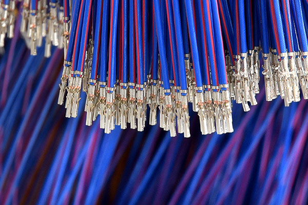 Wire Harness Assembly